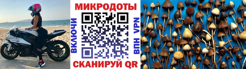 Псилоцибиновые грибы Cubensis  Кремёнки 