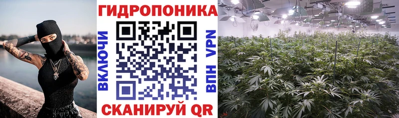 как найти   Кремёнки  Марихуана OG Kush 